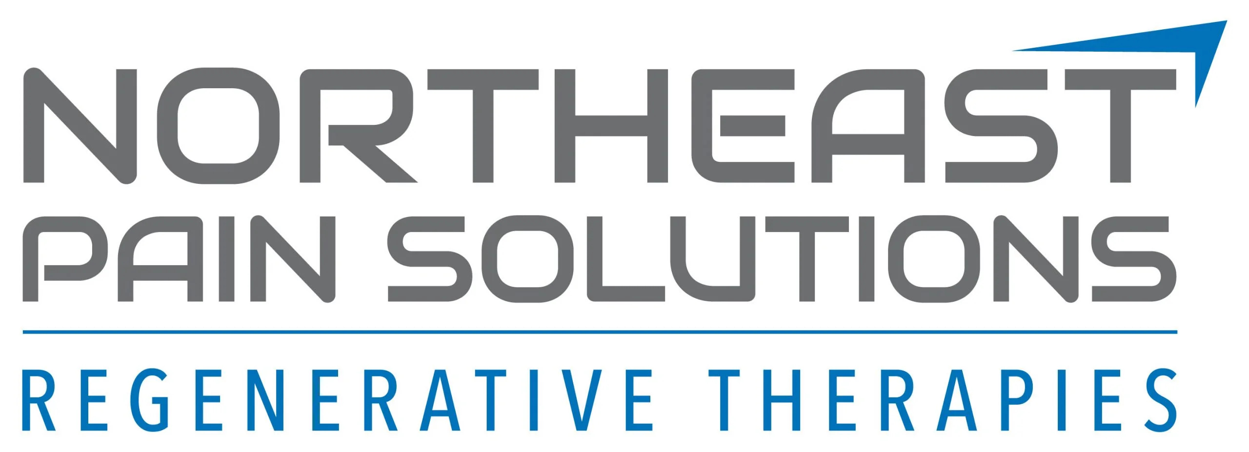 Northeast Pain Solutions of Canandaigua logo